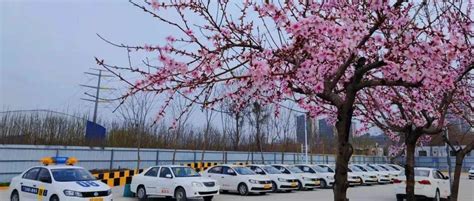 饿火命的人身上带跟火有关系的囊改运吗?,第3张 饿火命的人身上带跟火有关系的囊改运吗?,第3张